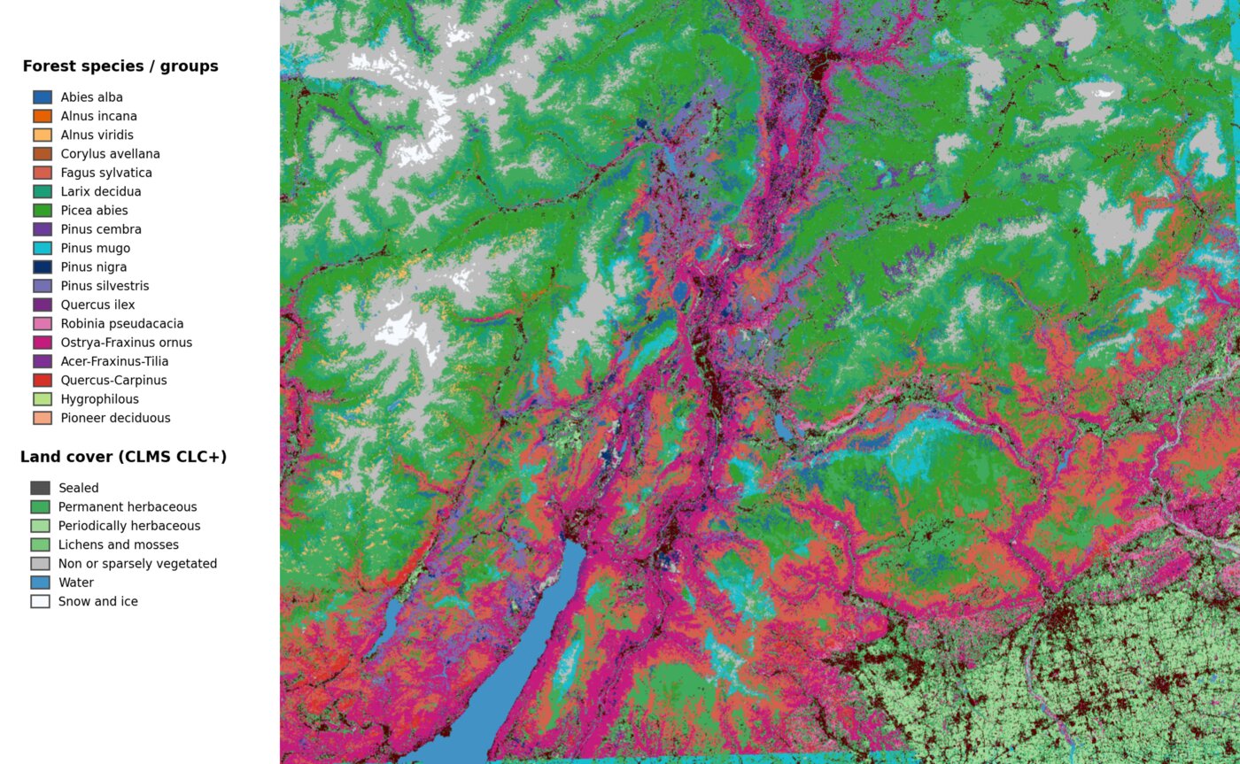 Wall-to-wall tree species and land cover prediction map of the Trentino region