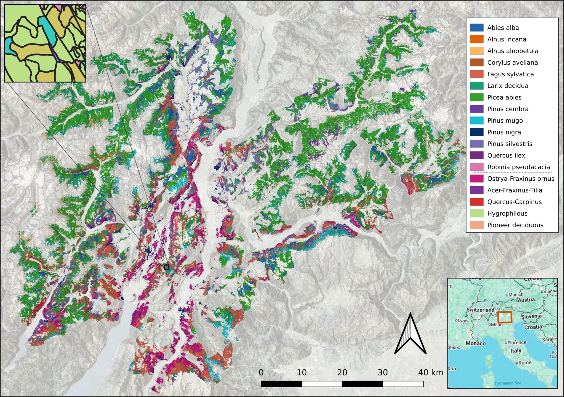 Map of tree species across the Trentino region