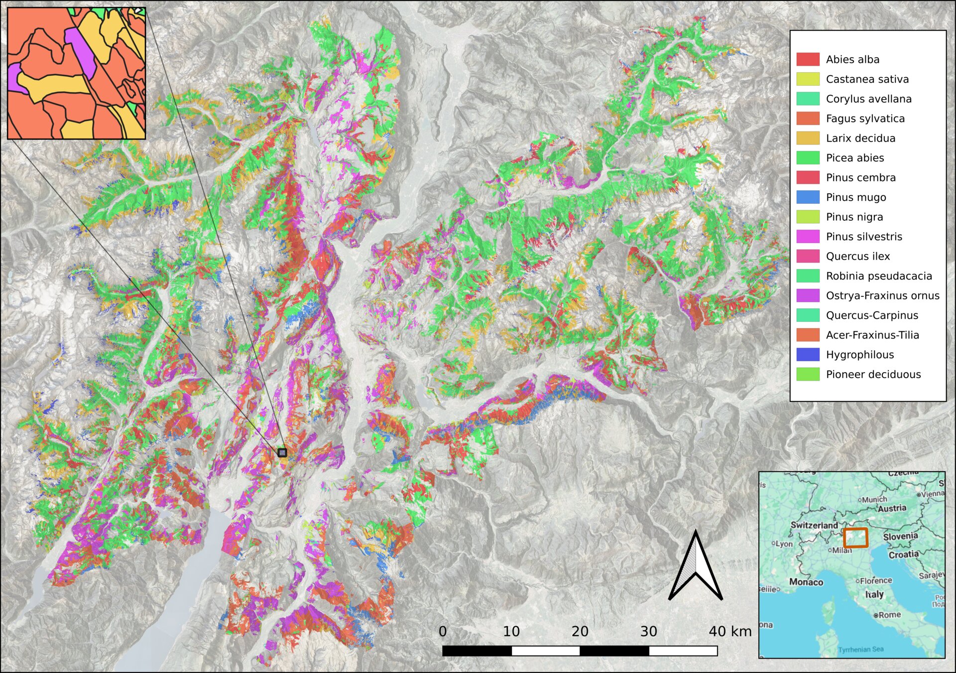 Species map of Trentino forests