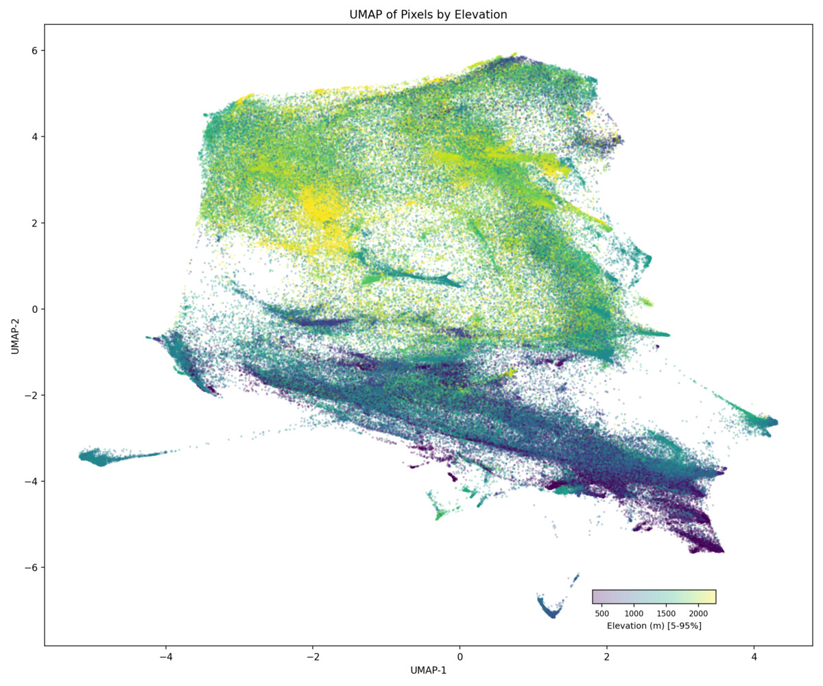 UMAP colored by elevation (Tessera)
