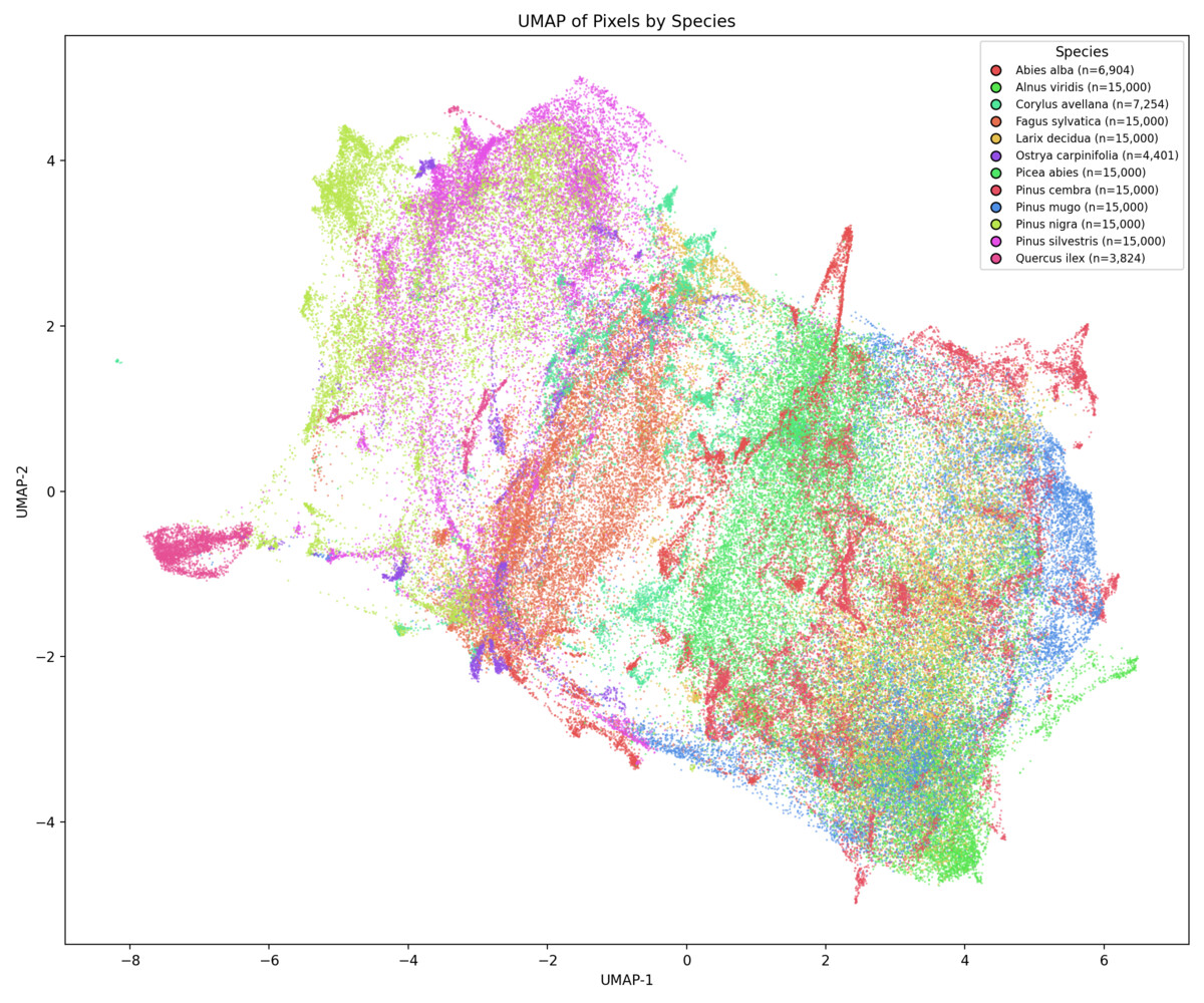 UMAP colored by species (AlphaEarth)